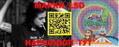 твердый Камышлов