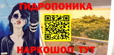твердый Камышлов