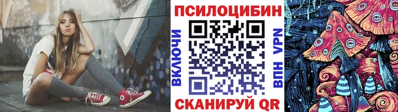 Галлюциногенные грибы Psilocybe Славгород