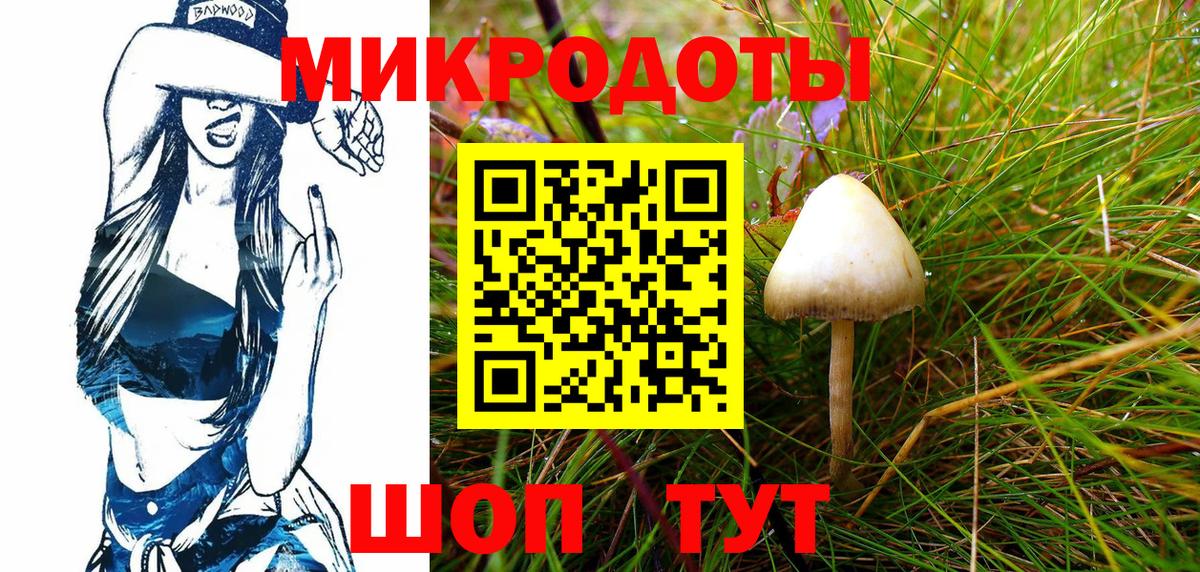 Галлюциногенные грибы GOLDEN TEACHER  Вход с VPN  Славгород  Псилоцибиновые грибы Magic Shrooms 