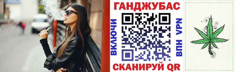 Конопля сатива  Славгород 